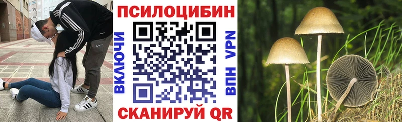 mega как войти  Александров  Галлюциногенные грибы Psilocybine cubensis  что такое  